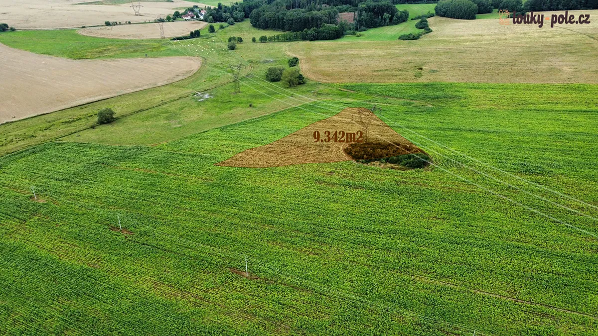 Fotka 5 z 13